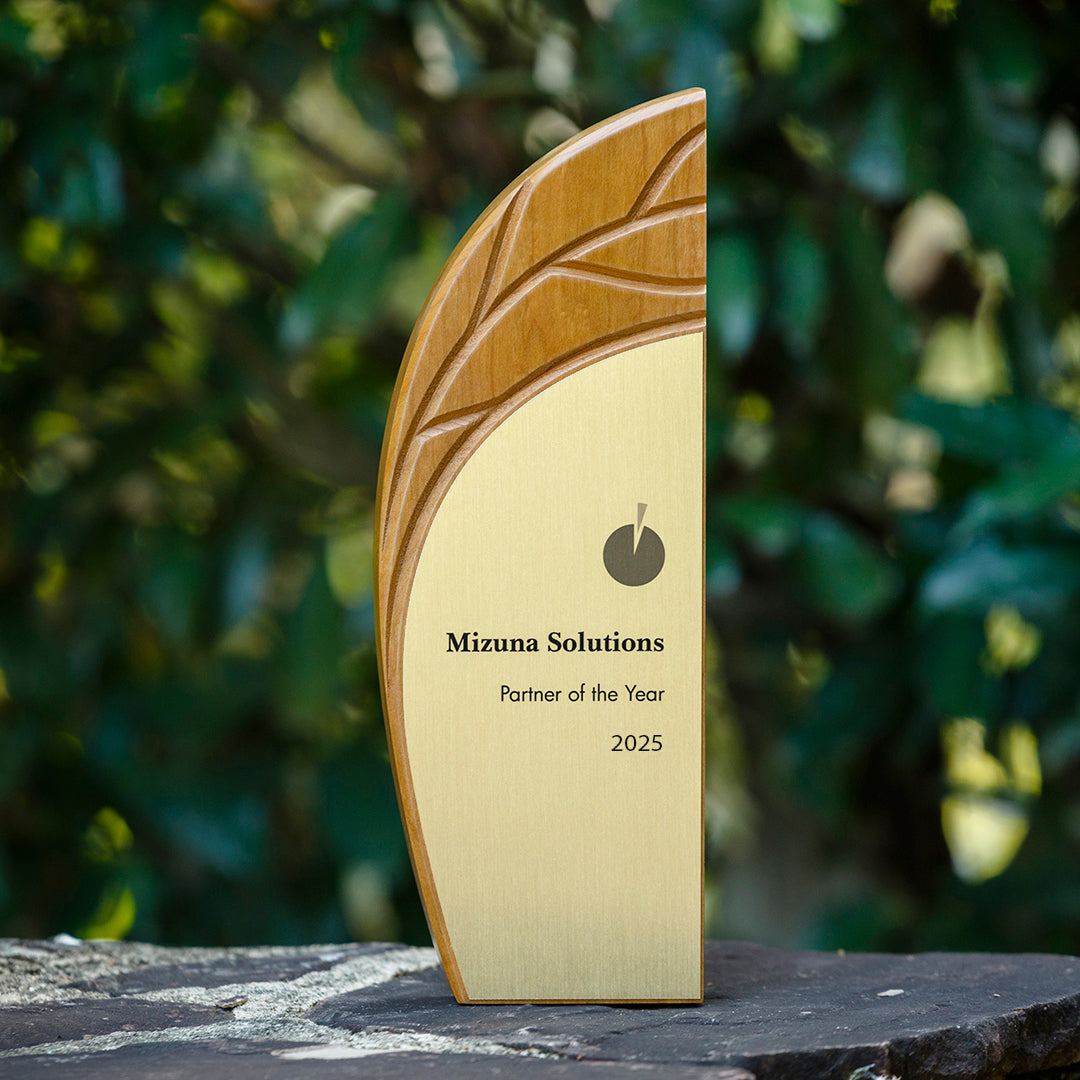 Partner of the Year award in FSC cherry with carved tree design, photographed outdoors on a stone ledge.
