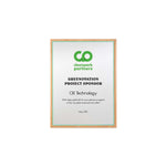 Bamboo Mini Plaque Green l Recognition Awards and Plaque Awards Bamboo