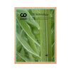 Bamboo 25 Photo Plaque Green l bamboo photo plaque
