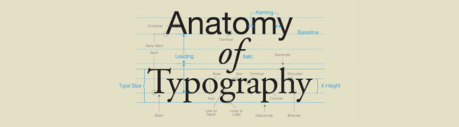 Anatomy of typography