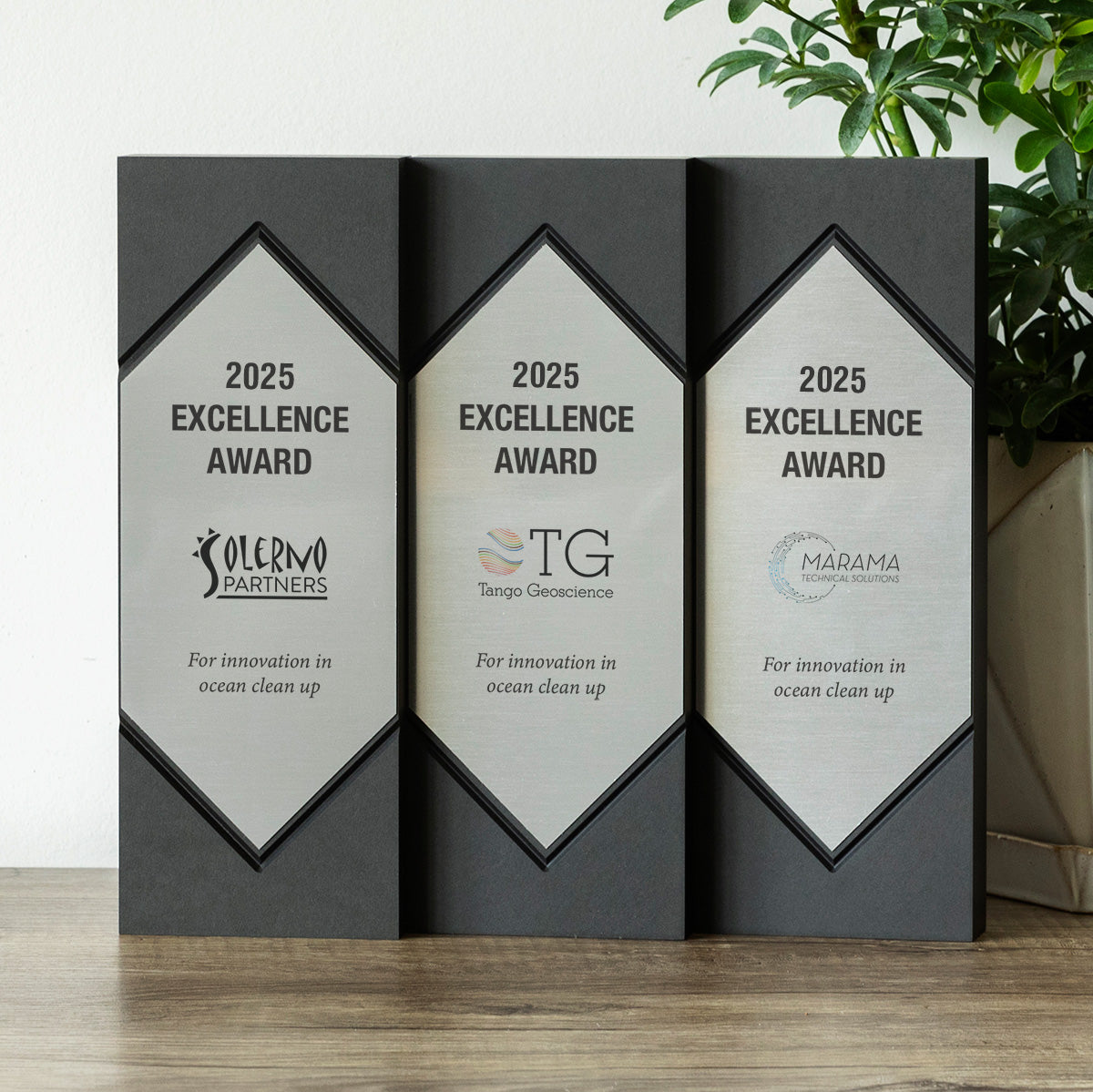 Sleek eco-friendly awards with silver metal plates for corporate and environmental recognition