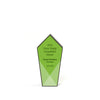 Modern recycled trophy 8"h black with a white plate that has green hues.