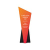 Tall recycled award with black base, contemporary look, slanted top, orange trophy white text.
