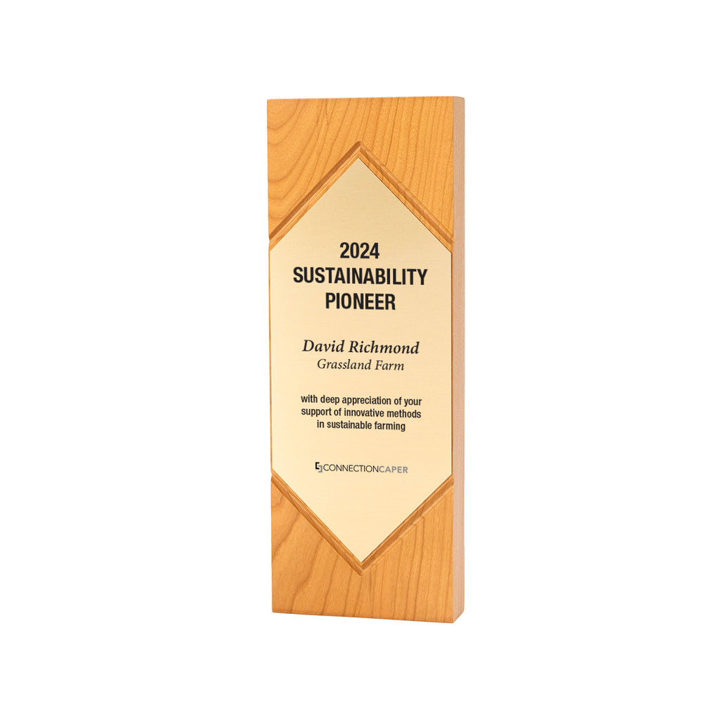 Solid wood award with a carved diamond shape. FSC Certified. 