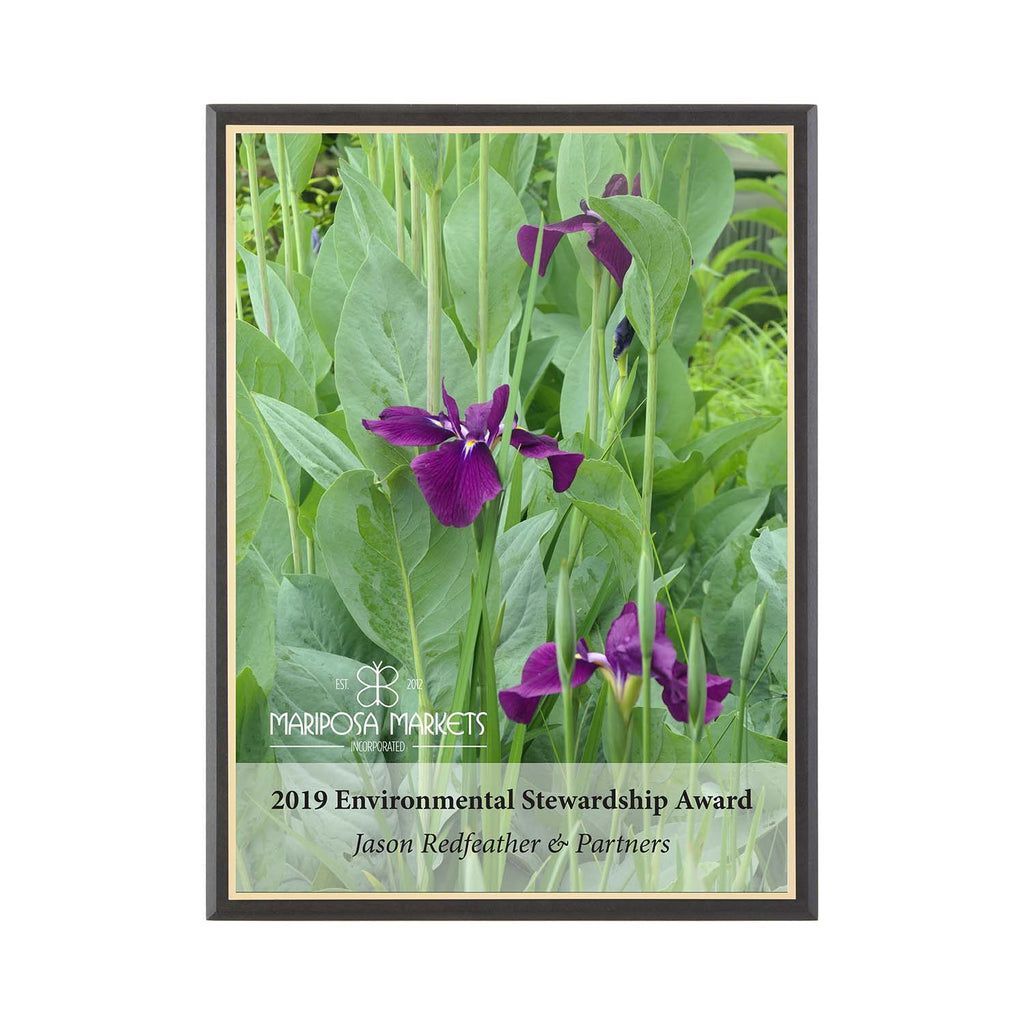 FSC Recycled black plaque with a white plate and bright gold backer. Excellent photo plaque. Made in USA.
