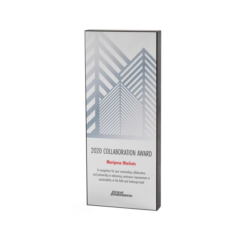 Pine Silver Recycled Award