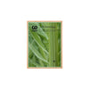 Bamboo Mini Plaque Green l Green Awards and plaques