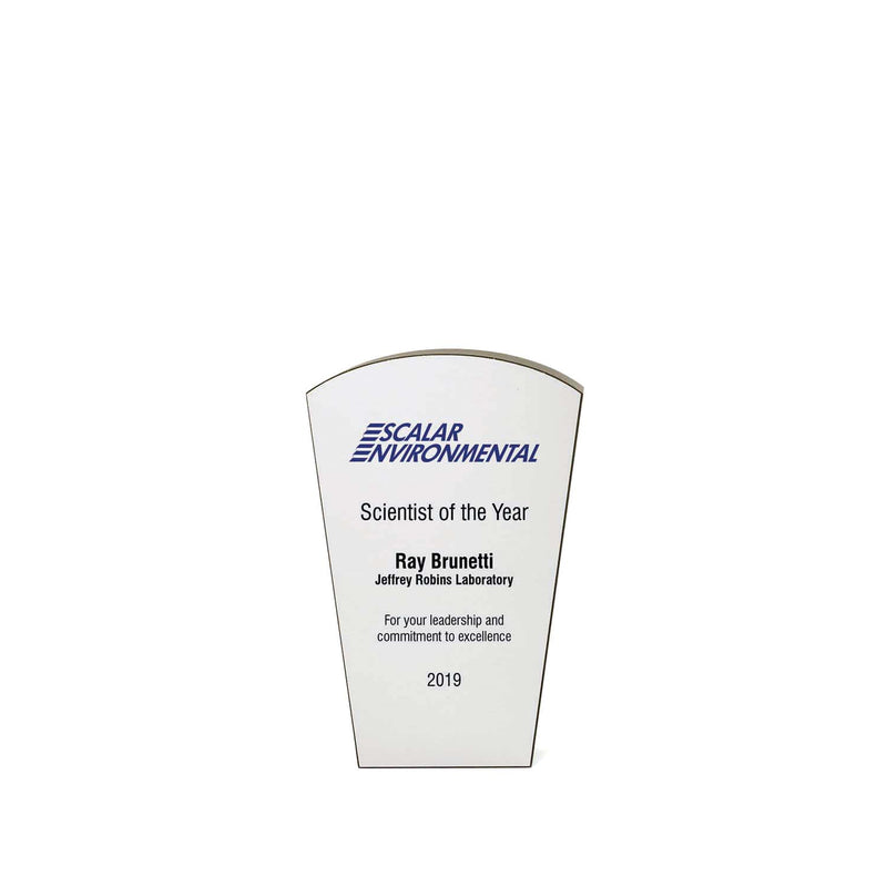Affordable Contemporary Recognition Trophy | Recycled Award