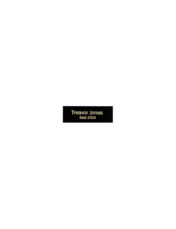 Perpetual plaque plate 1"x3" - Rivanna