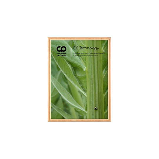 Bamboo mini plaque with white plate and bright gold backer. Made in USA.