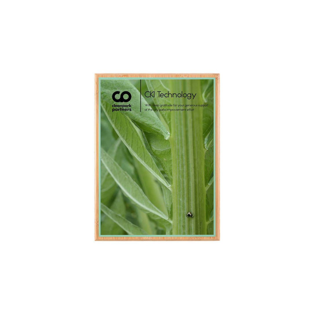 Bamboo mini plaque with white plate and green backer. Made in USA.