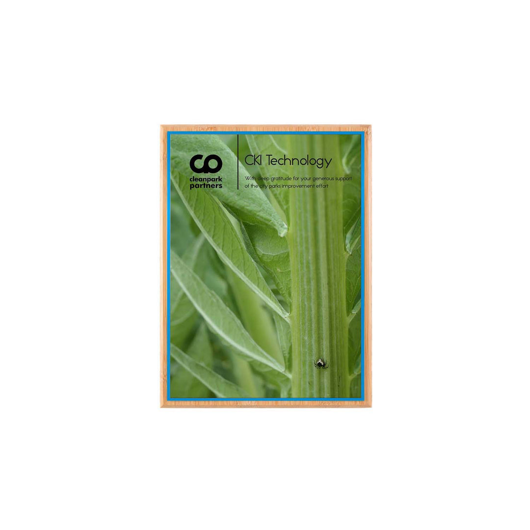 Bamboo mini plaque with white plate and blue backer. Made in USA.