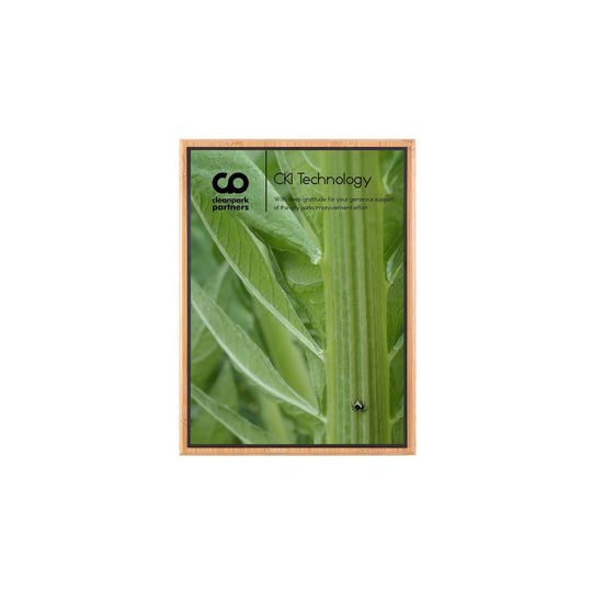 Bamboo mini plaque with white plate and black backer. Made in USA.